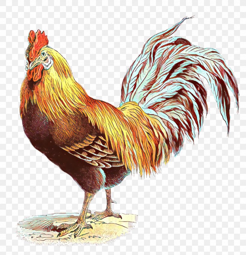 Chicken Bird Rooster Comb Fowl, PNG, 1445x1500px, Cartoon, Beak, Bird, Chicken, Comb Download Free