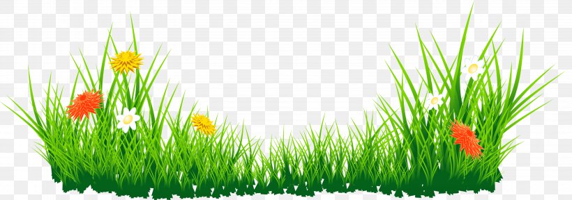 Clip Art, PNG, 3188x1120px, Flower, Commodity, Easter, Grass, Grass Family Download Free