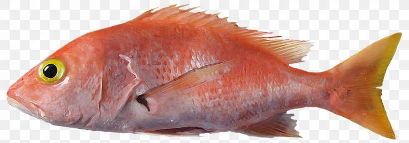 Northern Red Snapper Fish Products Marine Biology Fauna, PNG, 850x298px, Northern Red Snapper, Animal, Animal Figure, Animal Source Foods, Biology Download Free