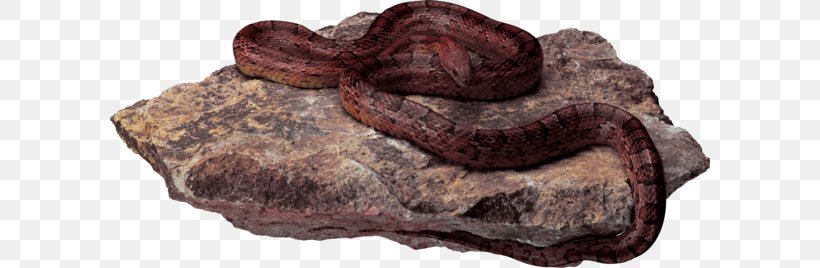 Snake, PNG, 600x268px, Snake, Fur, Image File Formats, Medicinal Mushroom, Photoscape Download Free