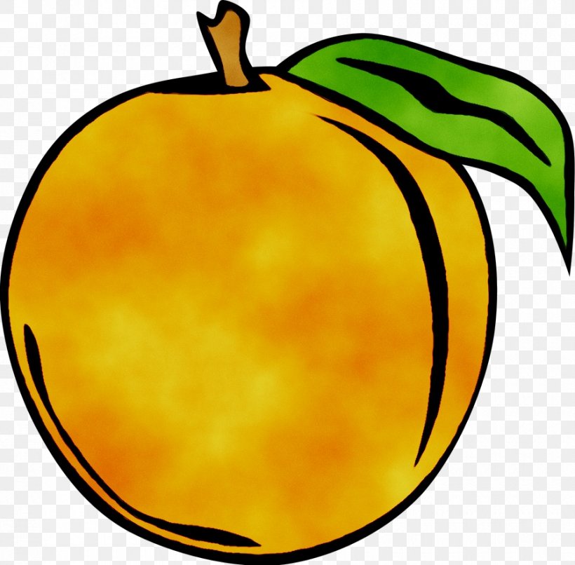 Clip Art Peach Free Content, PNG, 900x885px, Peach, Apple, Artwork, Drawing, Food Download Free