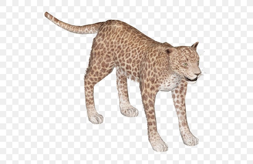 Felidae African Leopard Cheetah Lion Indian Leopard, PNG, 532x532px, Felidae, African Leopard, African Wild Dog, Animal, Animal Figure Download Free