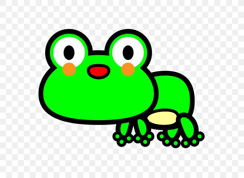 Frog Clip Art Drawing Tadpole Illustration, PNG, 600x600px, Frog, Amphibian, Artwork, Cartoon, Drawing Download Free