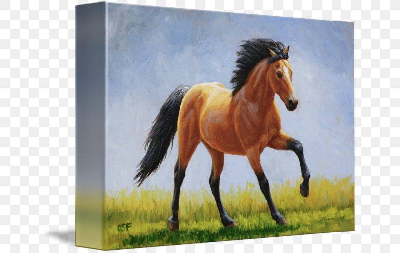 Mustang Mane Stallion Foal Mare, PNG, 650x518px, Mustang, Art, Bridle, Buckskin, Fauna Download Free