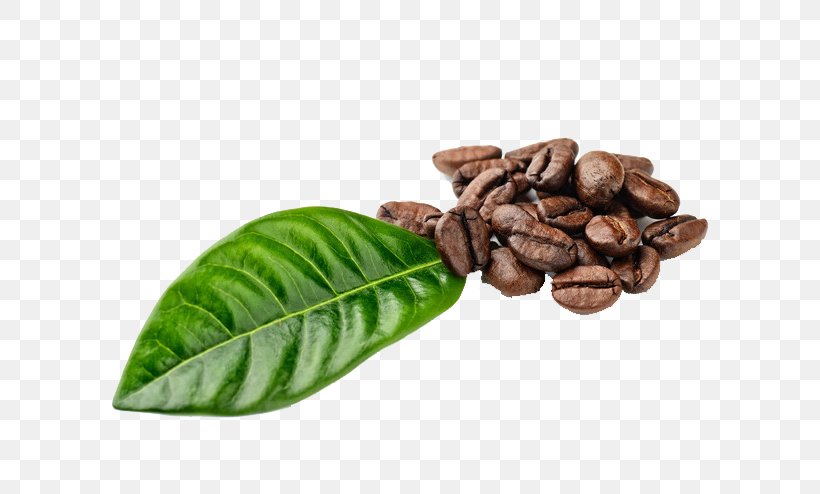 Instant Coffee Espresso Ipoh White Coffee Coffee Bean, PNG, 658x494px, Coffee, Bean, Burr Mill, Cocoa Bean, Coffea Download Free