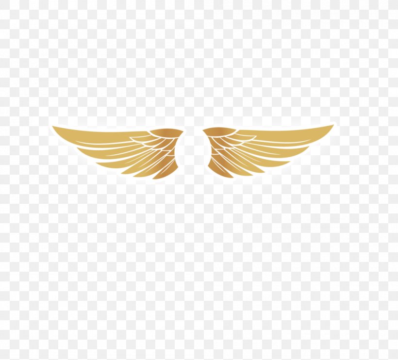 Wing Clip Art, PNG, 1000x905px, Wing, Buffalo Wing, Feather, Gold, Google Images Download Free