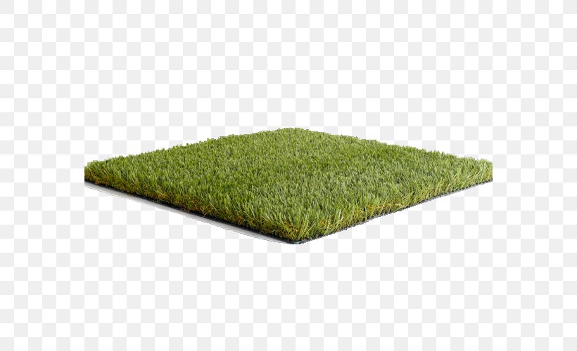Artificial Turf Lawn Mowers Garden Namgrass UK, PNG, 580x500px, Artificial Turf, Apple, Blandford Forum, Child, Garden Download Free