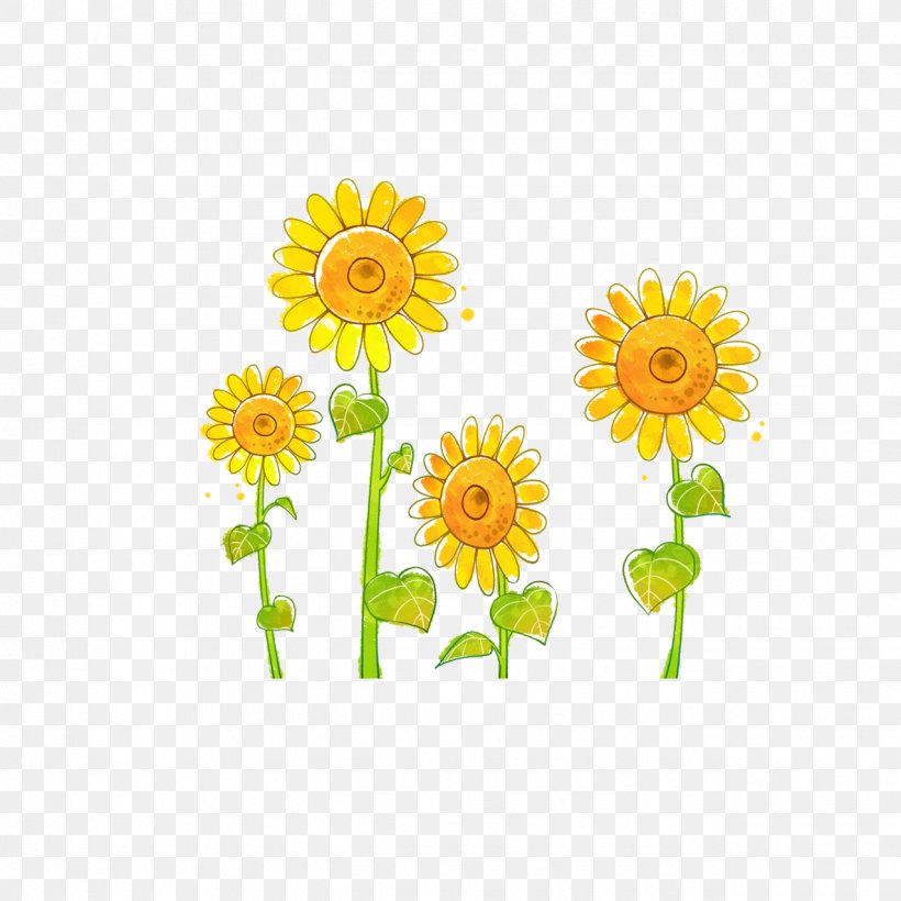 Common Sunflower Doll Drawing Illustration, PNG, 1276x1276px, Common Sunflower, Chrysanths, Cut Flowers, Dahlia, Daisy Download Free