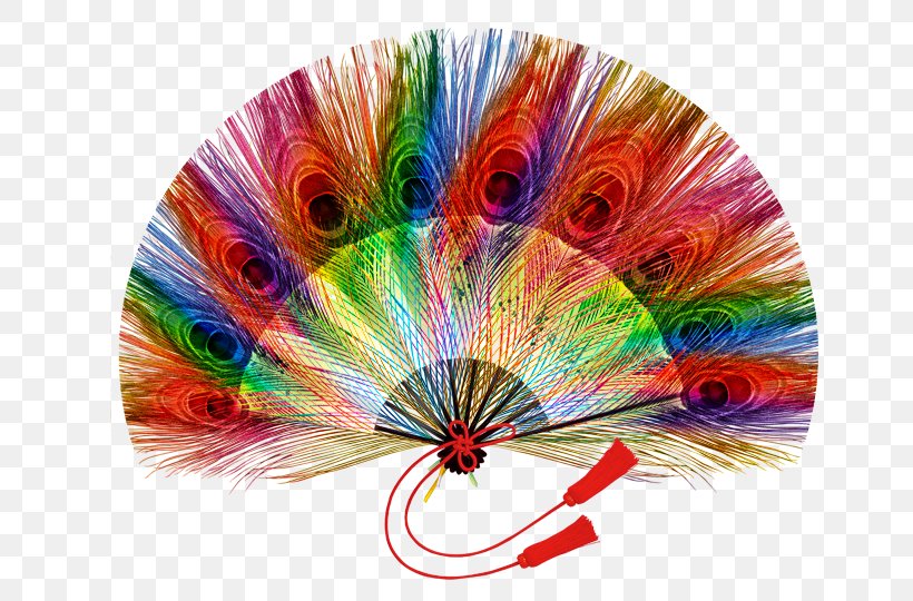Feather Peafowl, PNG, 800x540px, Feather, Color, Decorative Fan, Hand Fan, Peafowl Download Free