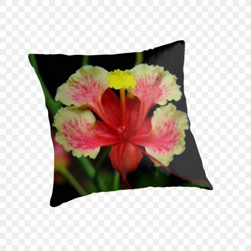 Throw Pillows Mallows Hibiscus Cushion Flower, PNG, 875x875px, Throw Pillows, Cattleya, Cattleya Orchids, Cushion, Family Download Free