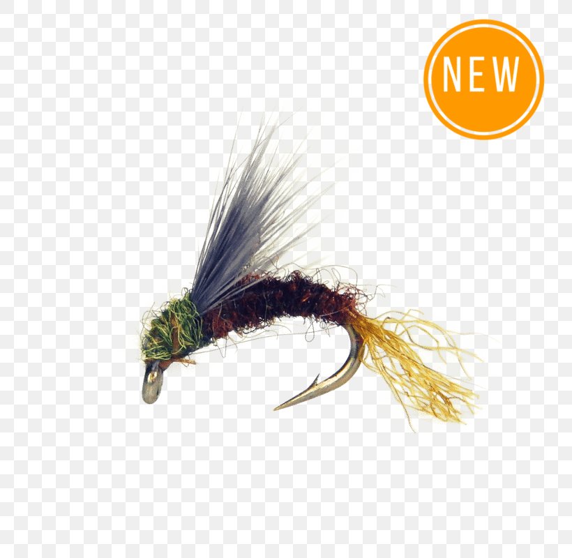 Baetis Fly Fishing Artificial Fly Insect Nymph, PNG, 800x800px, Baetis, Artificial Fly, Fishing Bait, Fly Fishing, Holly Flies Download Free