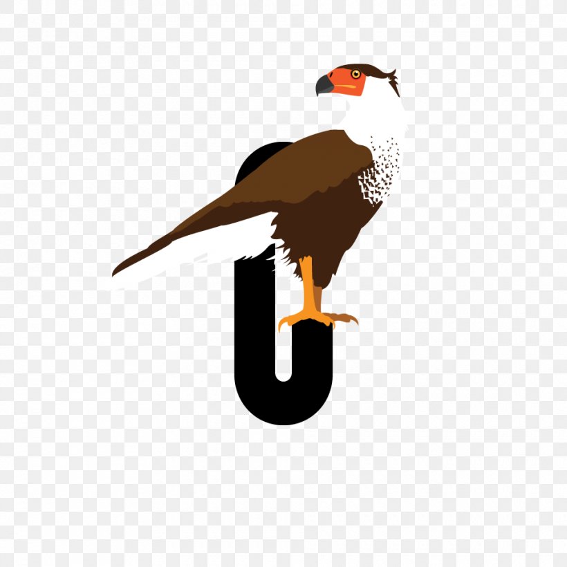 A Bird Chronicle Eagle Bird Of Prey Beak, PNG, 960x960px, Bird, Alphabet, Alphabet Book, Art, Beak Download Free