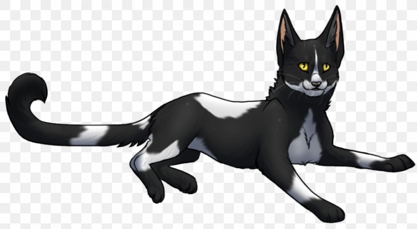 Cat Warriors Tallstar SkyClan's Destiny Erin Hunter, PNG, 900x496px, Cat, Black Cat, Carnivoran, Cat Like Mammal, Character Download Free
