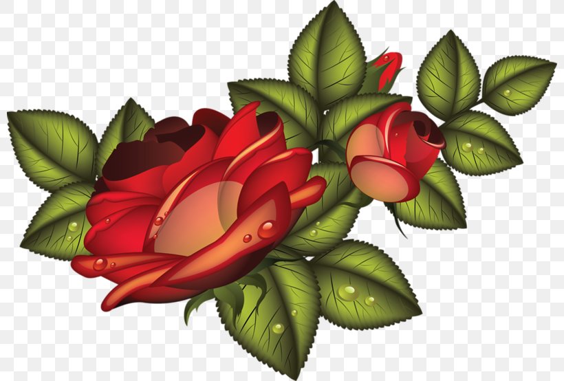 Vector Graphics Clip Art Image Illustration, PNG, 800x554px, Art, Convite, Cut Flowers, Floral Design, Floristry Download Free