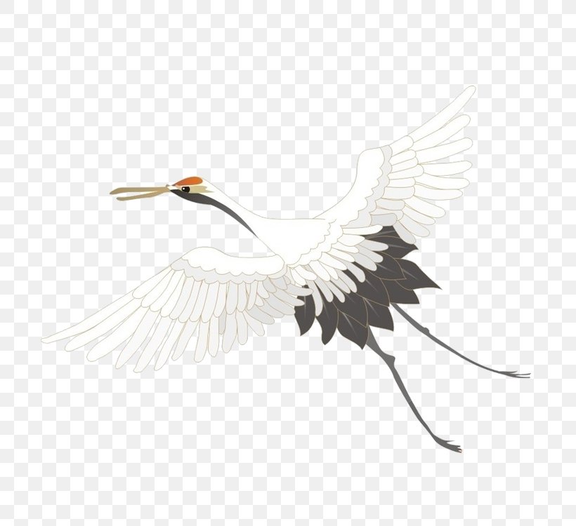 Bird Red-crowned Crane Grey Crowned Crane Black Crowned Crane Stork, PNG, 750x750px, Bird, Beak, Black Crowned Crane, Crane, Crane Like Bird Download Free