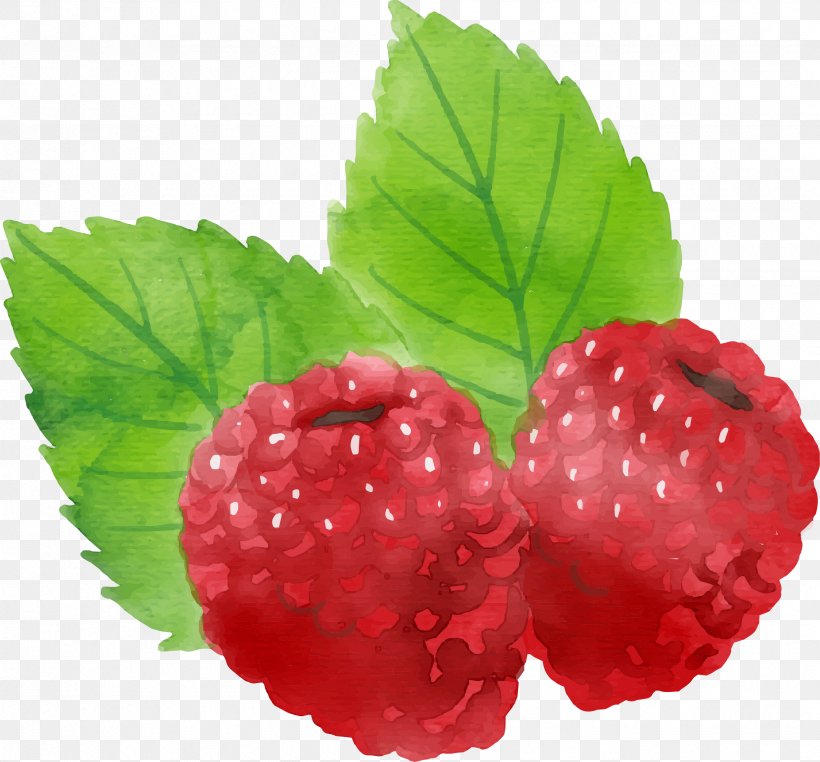 Euclidean Vector Download Icon, PNG, 2479x2306px, Raspberry, Berry, Blackberry, Boysenberry, Food Download Free