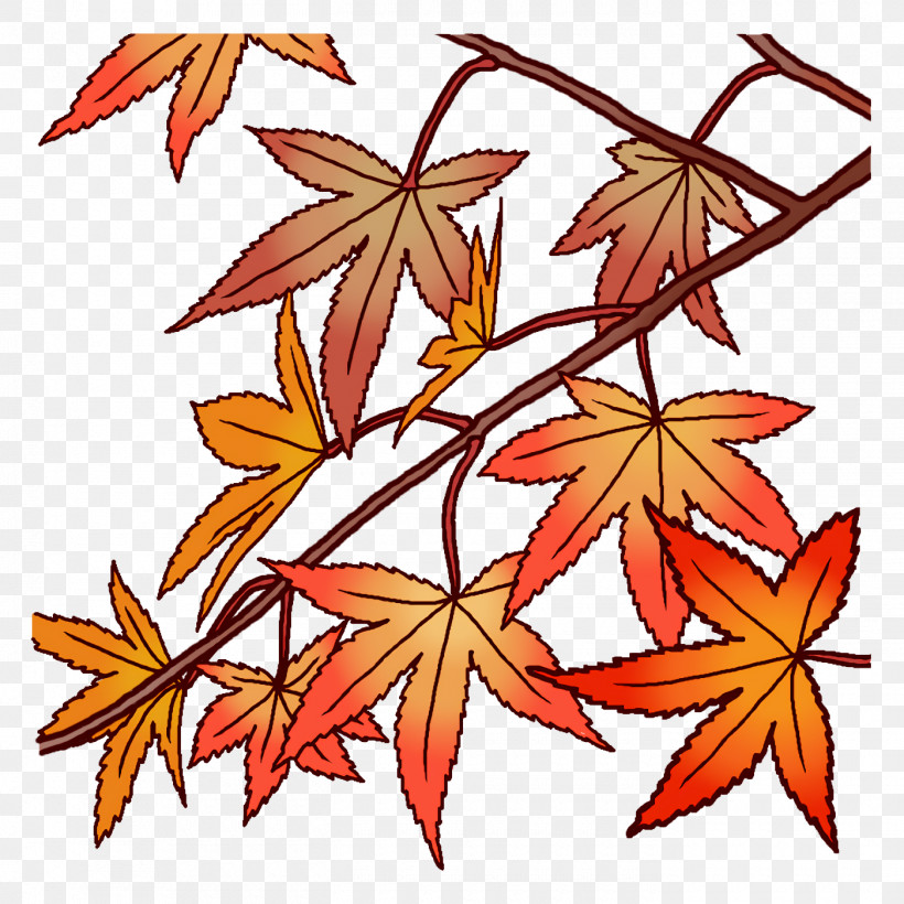Maple Leaf, PNG, 1400x1400px, Maple Leaf, Branch, Flower, Leaf, Liana Download Free