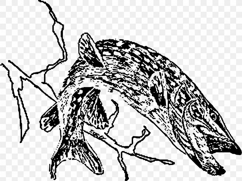 Northern Pike Black And White Drawing Clip Art, PNG, 2318x1734px, Northern Pike, Alamy, Art, Artwork, Bat Download Free