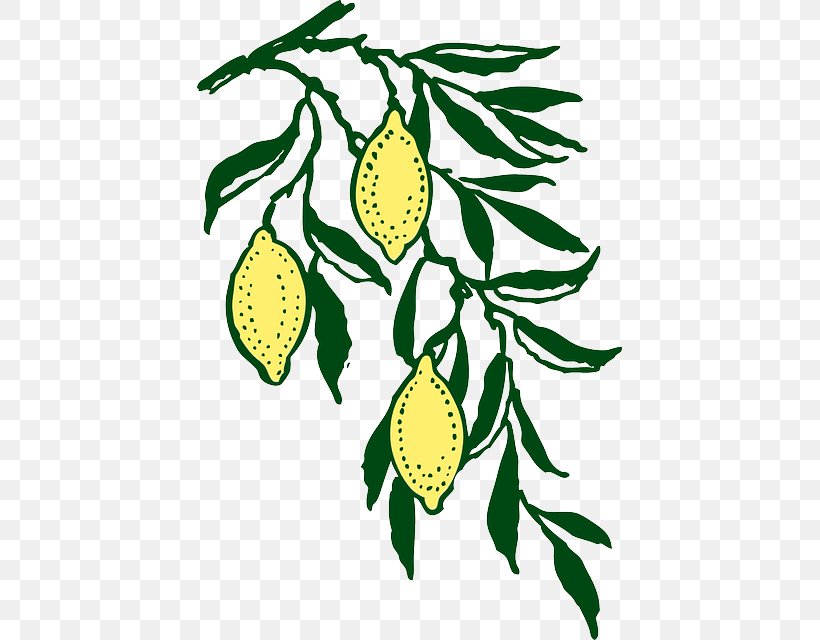 Lemon Clip Art, PNG, 425x640px, Lemon, Artwork, Blog, Branch, Citrus Download Free