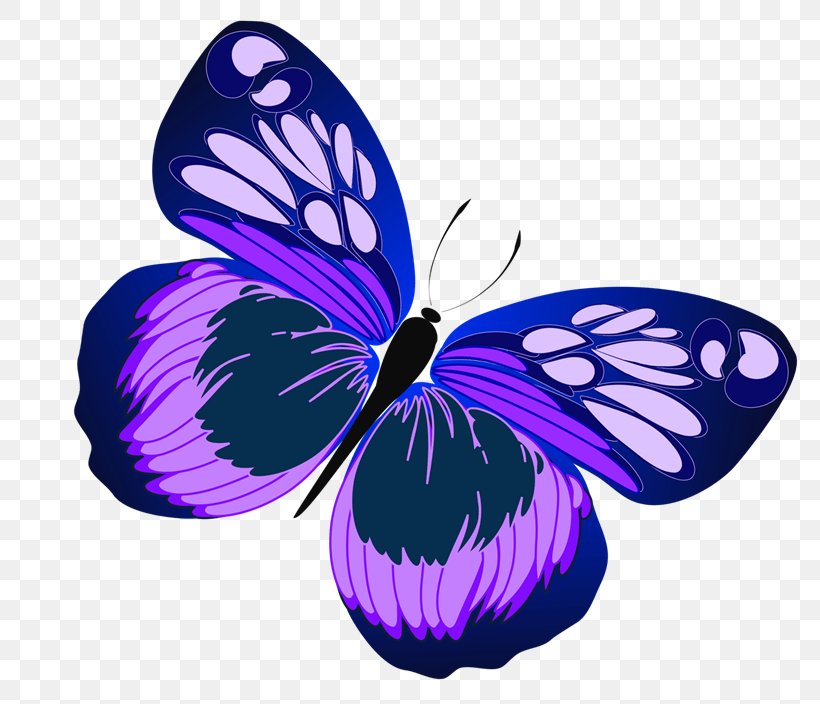 Clip Art Butterfly Image Free Content, PNG, 800x704px, Butterfly, Arthropod, Blue, Brush Footed Butterfly, Document Download Free