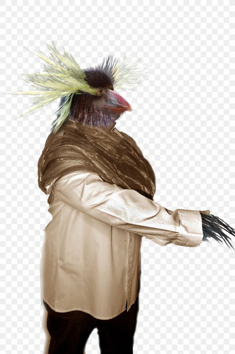 Costume Design Feather, PNG, 1064x1600px, Costume Design, Costume, Feather, Fur, Wing Download Free