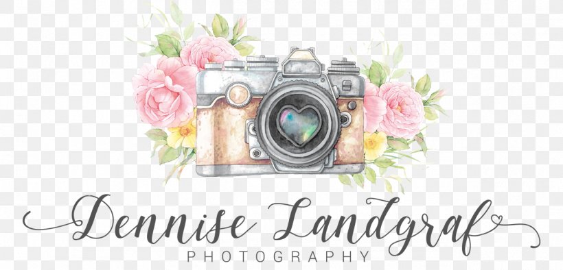 Floral Design Picture Frames Cut Flowers, PNG, 1272x612px, Floral Design, Brand, Computer Font, Cut Flowers, Flower Download Free
