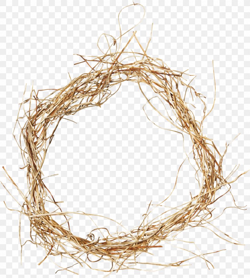 Marcos Map, PNG, 1520x1689px, Photography, Bird Nest, Branch, Google Images, Pixel Density Download Free