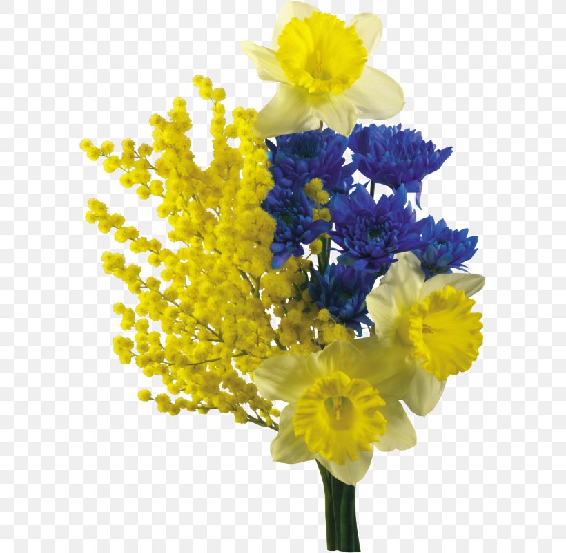 Mimosa Salad Cut Flowers Flower Bouquet Daffodil, PNG, 589x800px, Mimosa Salad, Amaryllis Family, Artificial Flower, Cut Flowers, Daffodil Download Free