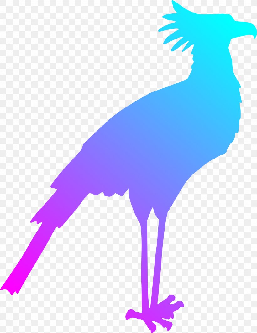 Secretarybird Silhouette Clip Art, PNG, 1851x2400px, Bird, Art, Artwork, Beak, Bird Of Prey Download Free