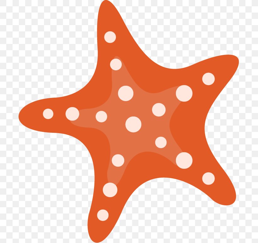 Starfish Red Callopatiria Granifera, PNG, 701x774px, Starfish, Callopatiria Granifera, Cartoon, Designer, Echinoderm Download Free