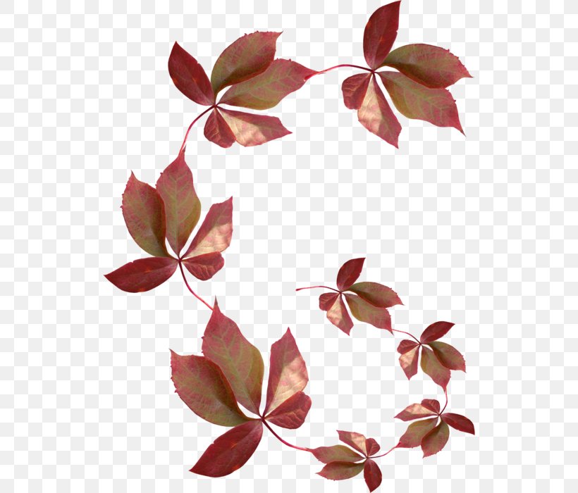 Blog Leaf Treelet, PNG, 528x700px, Blog, Branch, Centerblog, Flora, Flower Download Free