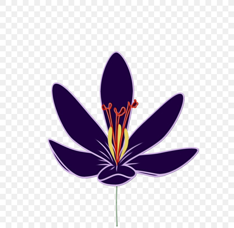 Flower Purple Plant Violet Petal, PNG, 800x800px, Watercolor, Butterfly, Crocus, Flower, Iris Download Free