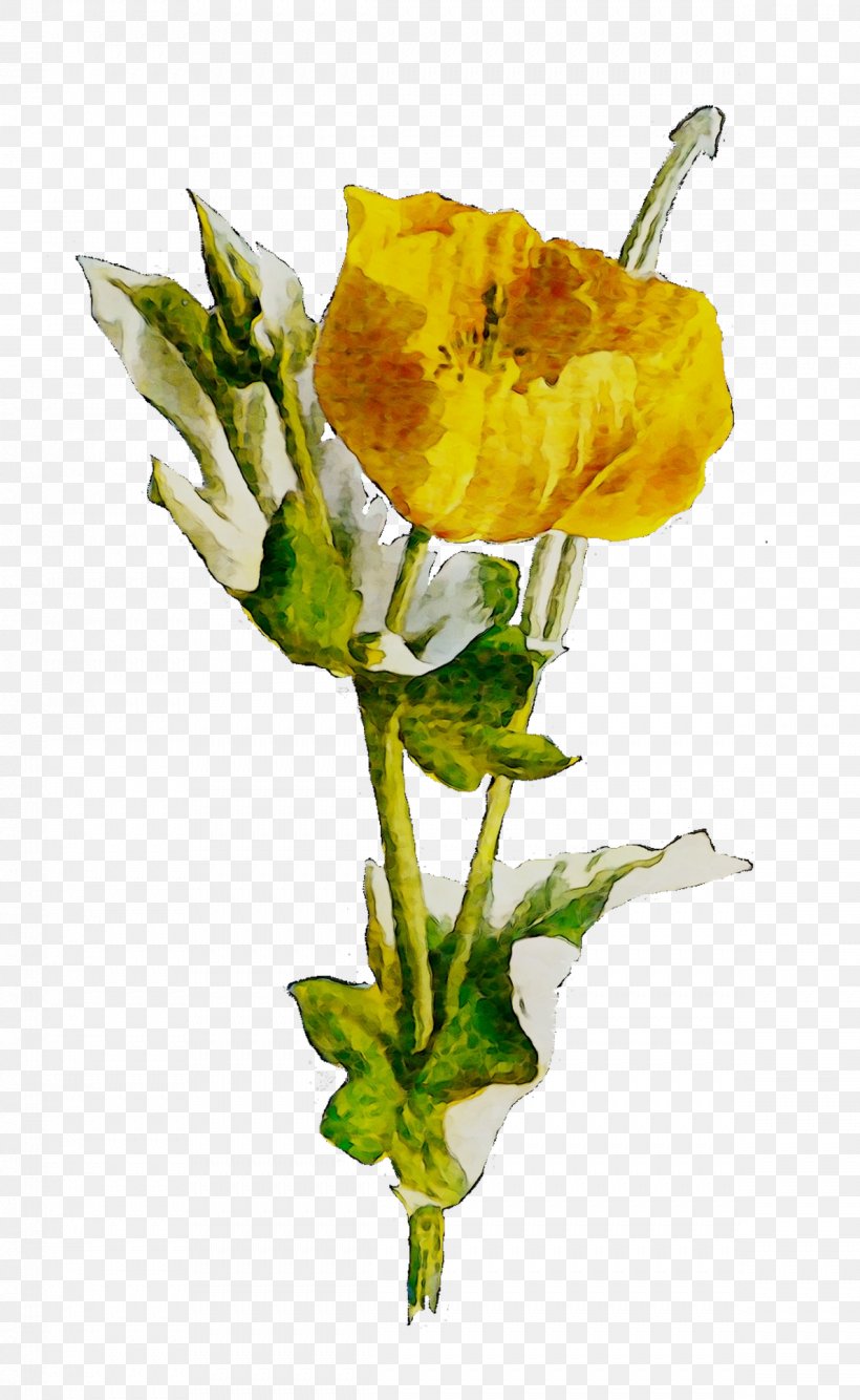 Garden Roses Cut Flowers Yellow Plant Stem, PNG, 1189x1935px, Garden Roses, Austrian Briar, Botany, Common Eveningprimrose, Cut Flowers Download Free