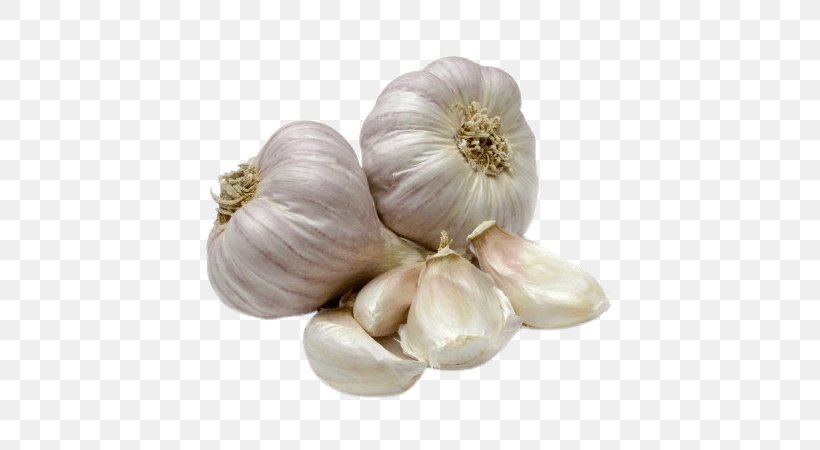 Garlic Elephant Garlic Vegetable Plant Food, PNG, 660x450px, Garlic, Allium, Elephant Garlic, Flowering Plant, Food Download Free