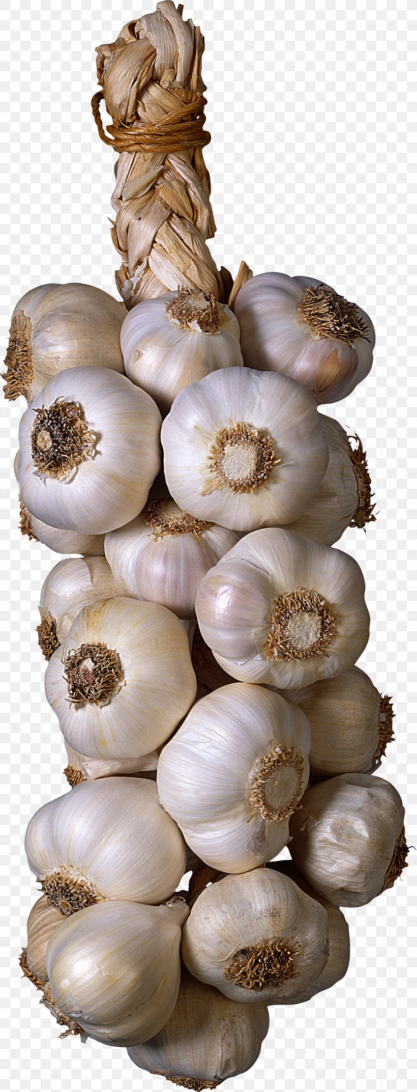 Garlic Vegetable Seasoning Clip Art, PNG, 1146x2999px, Garlic, Elephant Garlic, Food, Ingredient, Lossless Compression Download Free