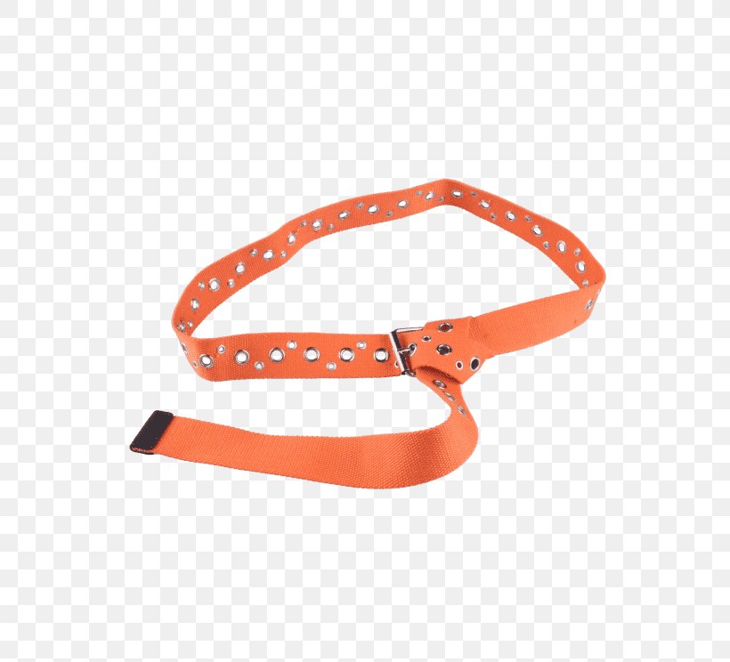 Belt Buckles Dog Leash, PNG, 558x744px, Belt, Accessoire, Belt Buckle, Belt Buckles, Buckle Download Free