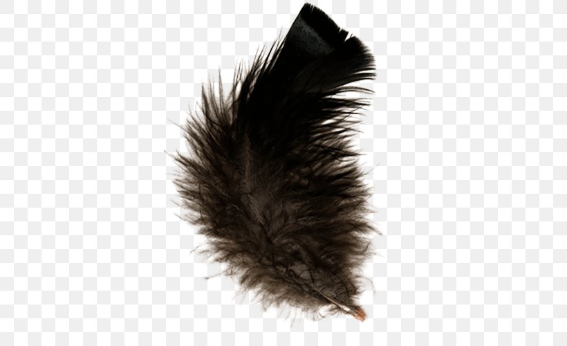 Feather Clip Art, PNG, 500x500px, Feather, Black, Digital Image, Fur, Image File Formats Download Free