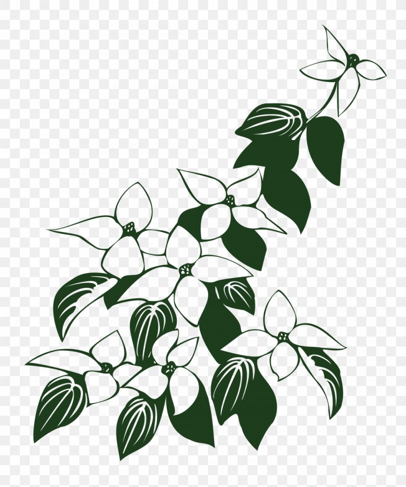 Flowering Dogwood Kousa Dogwood Drawing Vector Graphics Clip Art, PNG, 1066x1280px, Flowering Dogwood, Black And White, Branch, Dogwood, Drawing Download Free