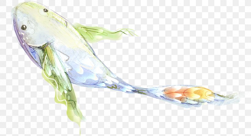 Flying Fish Illustration, PNG, 1167x635px, Flying Fish, Animation, Beak, Cartoon, Common Pet Parakeet Download Free