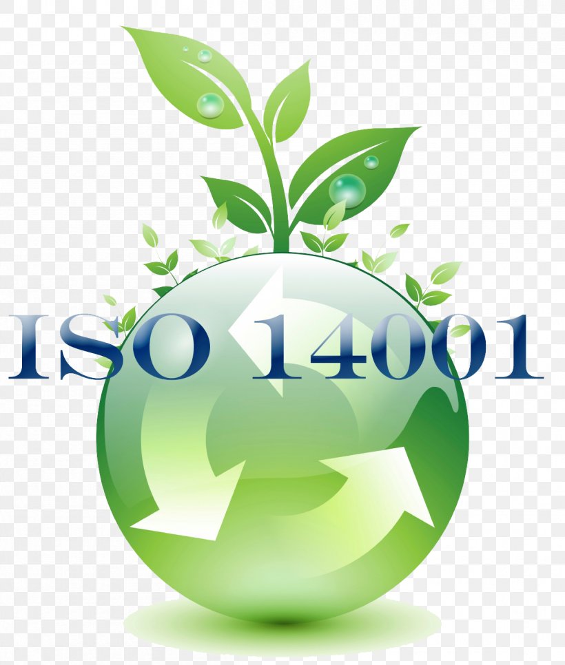 ISO 14000 Environmental Management System International Organization For Standardization ISO 9000, PNG, 1205x1420px, Iso 14000, Certification, Continual Improvement Process, Environmental Management System, Green Download Free