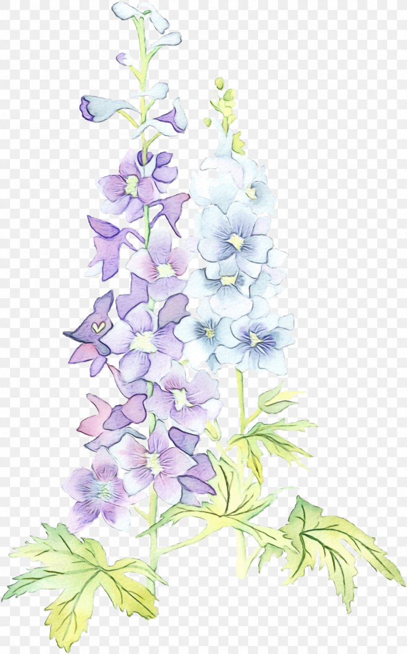 Lavender, PNG, 1283x2060px, Watercolor, Bellflower, Bellflower Family, Delphinium, Flower Download Free