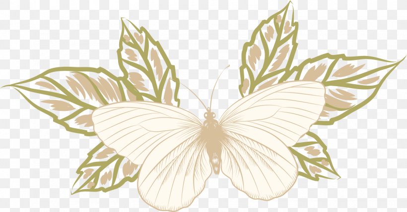 Butterfly Drawing, PNG, 1609x841px, Butterfly, Butterflies And Moths, Cartoon, Drawing, Flora Download Free