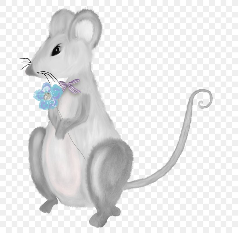Computer Mouse Rat Gerbil, PNG, 736x800px, Mouse, Computer Mouse, Drawing, Fauna, Gerbil Download Free