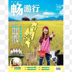 May Travel - Tourism Zinio Tourist Attraction Advertising Ecosystem PNG