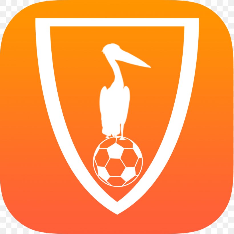 Football Logo Youth Clip Art, PNG, 1024x1024px, Football, Logo, Orange, Symbol, Youth Download Free