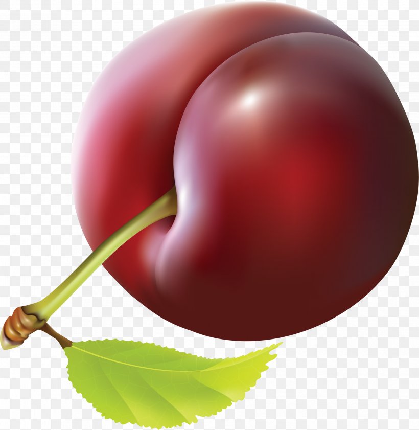 Fruit Plum Clip Art, PNG, 3413x3504px, Fruit, Airbrush, Cherry, Drawing, Food Download Free