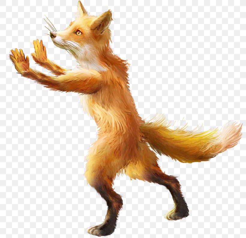 Red Fox Clip Art Image Dhole, PNG, 800x793px, Red Fox, Animal, Animation, Canidae, Carnivoran Download Free