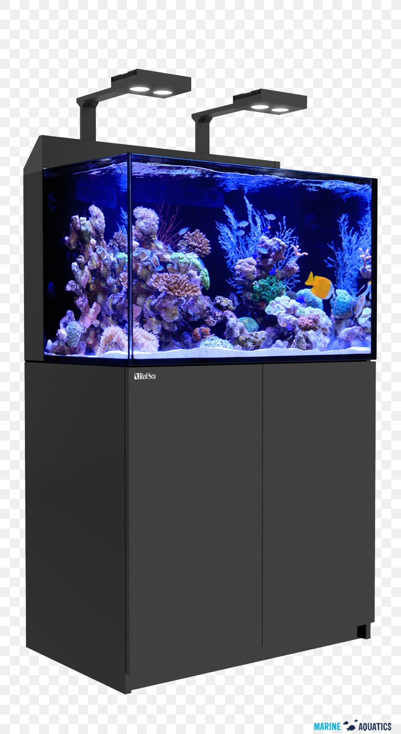 Reef Aquarium Red Sea Coral Reef Protein Skimmer, PNG, 790x1500px, Reef Aquarium, Aquarium, Aquarium Lighting, Art, Coral Download Free