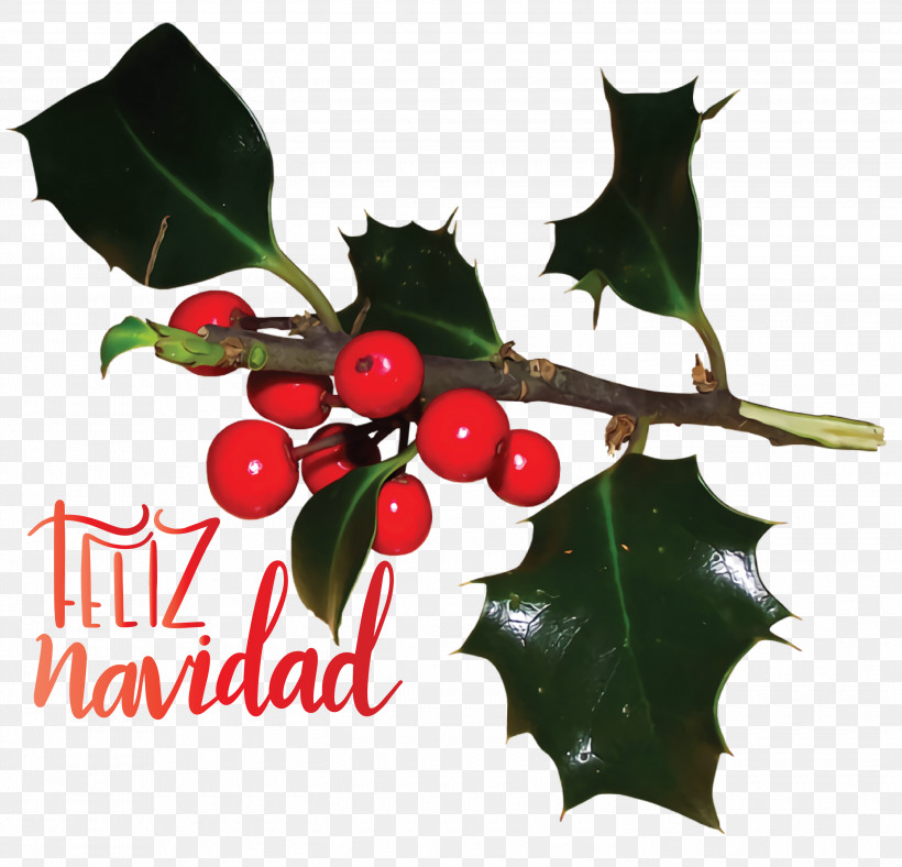 Feliz Navidad Merry Christmas, PNG, 3000x2884px, Feliz Navidad, American Holly, Aquifoliales, Branch, Christmas Day Download Free