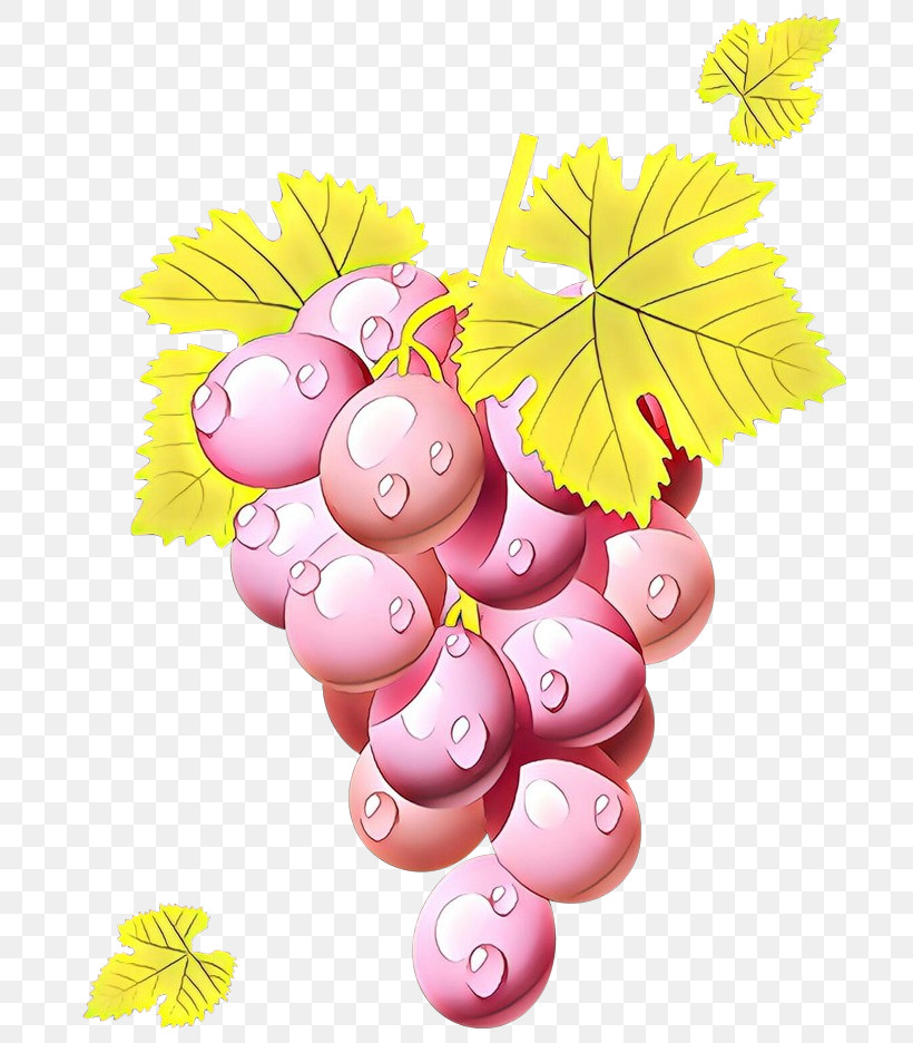 Grape Grapevine Family Leaf Vitis Plant, PNG, 700x936px, Grape, Flower, Fruit, Grape Leaves, Grapevine Family Download Free